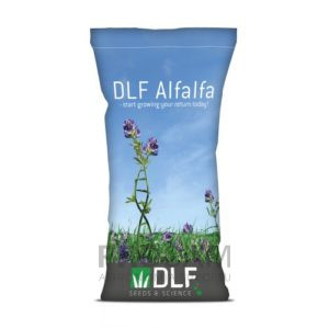 dlf alfalfa - lucerna