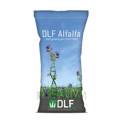 dlf alfalfa - lucerna