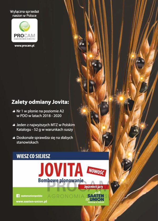 jęczmień jary jovita