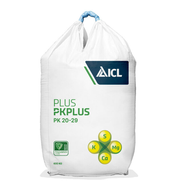 PKpluS 20-29