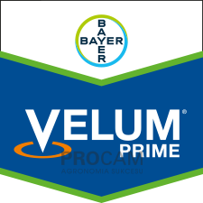 VELUM PRIME