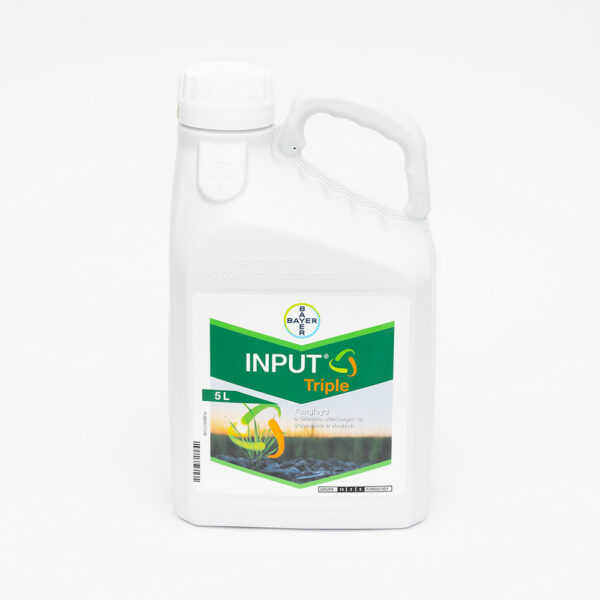 INPUT TRIPLE
