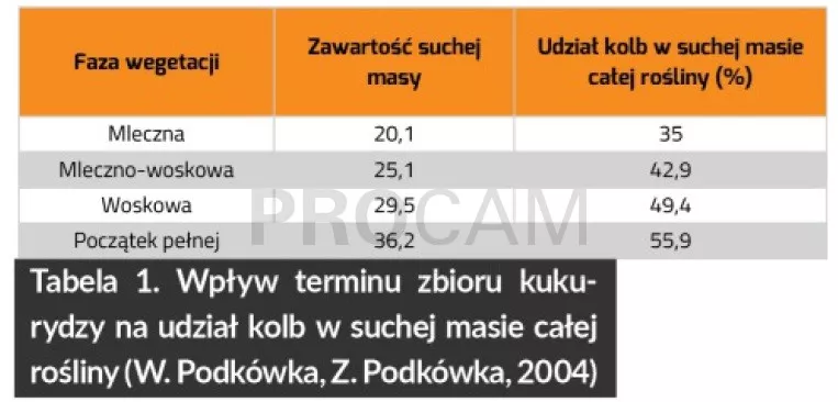 wplyw-terminu-zbioru-kukurydzy-na-udzial-kolb-w-suchej-masie-calej-rosliny