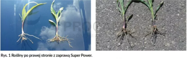 produkt super power
